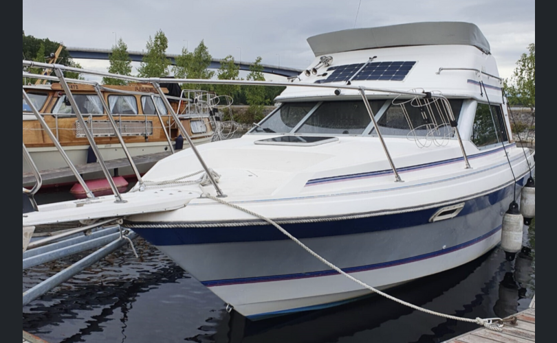 Bayliner Ciera 2556-kuva-1